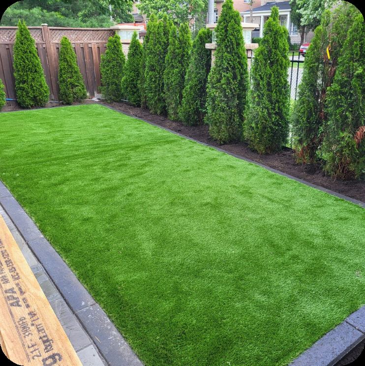 Finished lawn framed by cedar hedging and a stone border